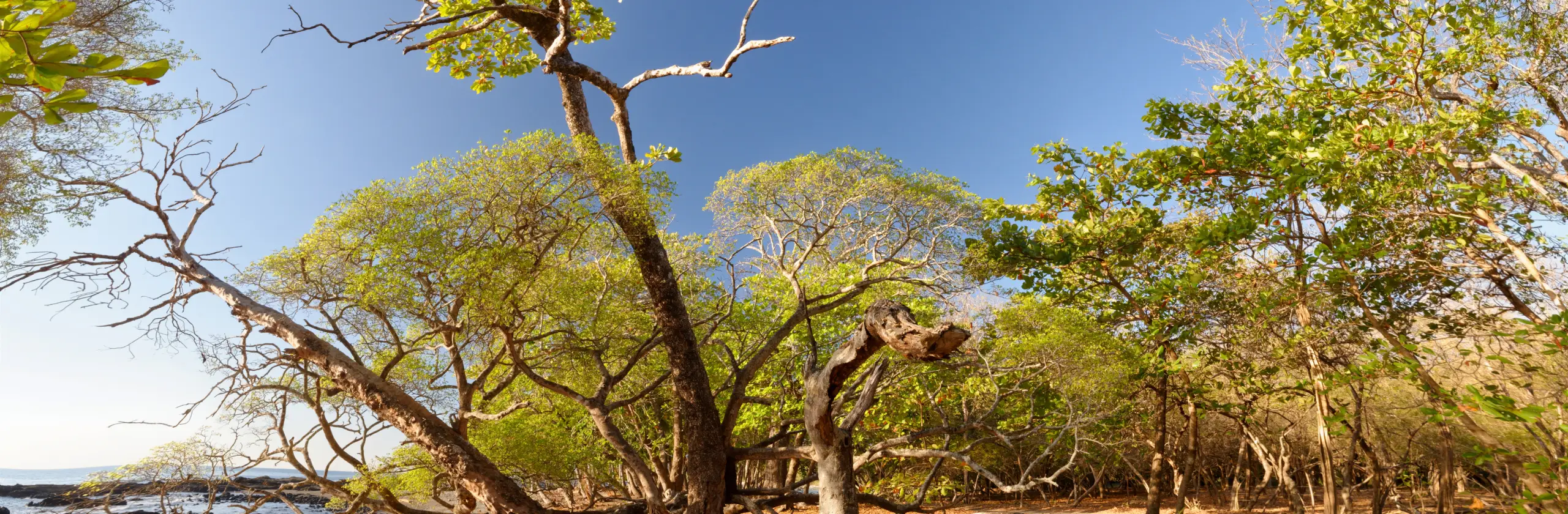 Les villages bohèmes de la Péninsule de Nicoya au Costa-Rica