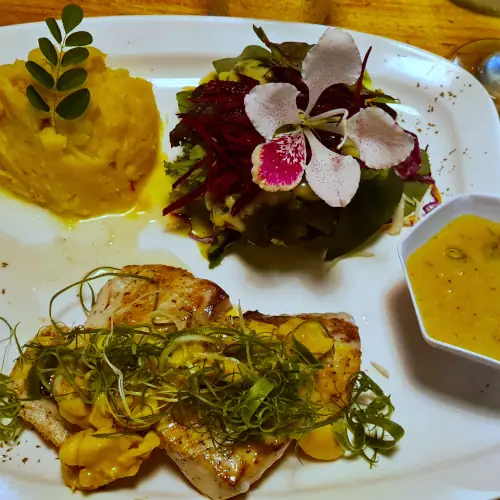 Mahi mahi Casita de Monli