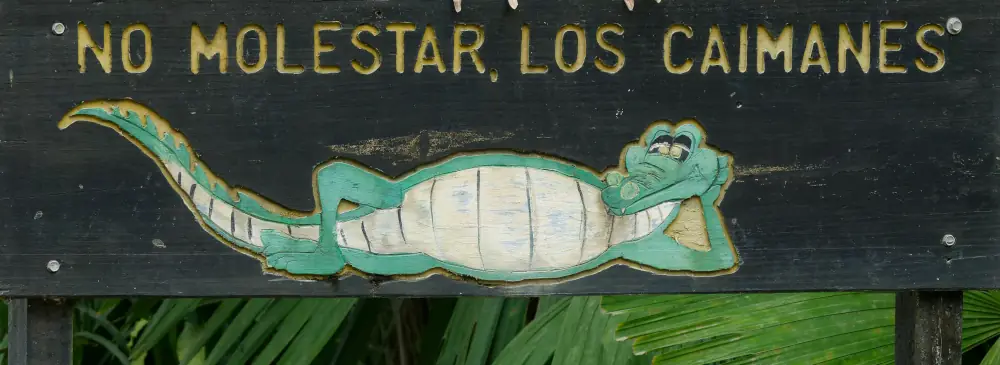 Pancarte Ne pas déranger les caïmans