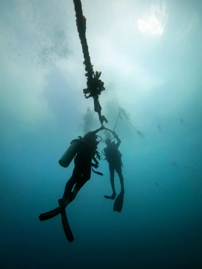 Descente-plongée-isla-del-cano | Photo Hubert Lagrange