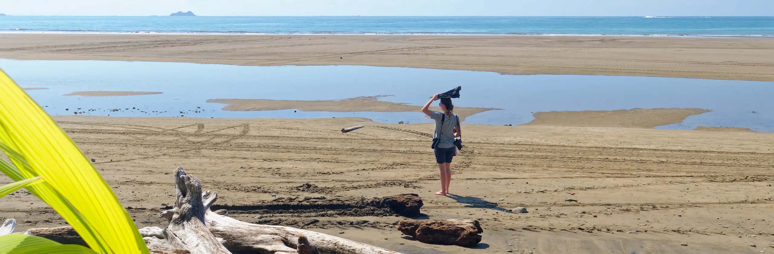 A la recherche des baleines entre Uvita et Sierpe