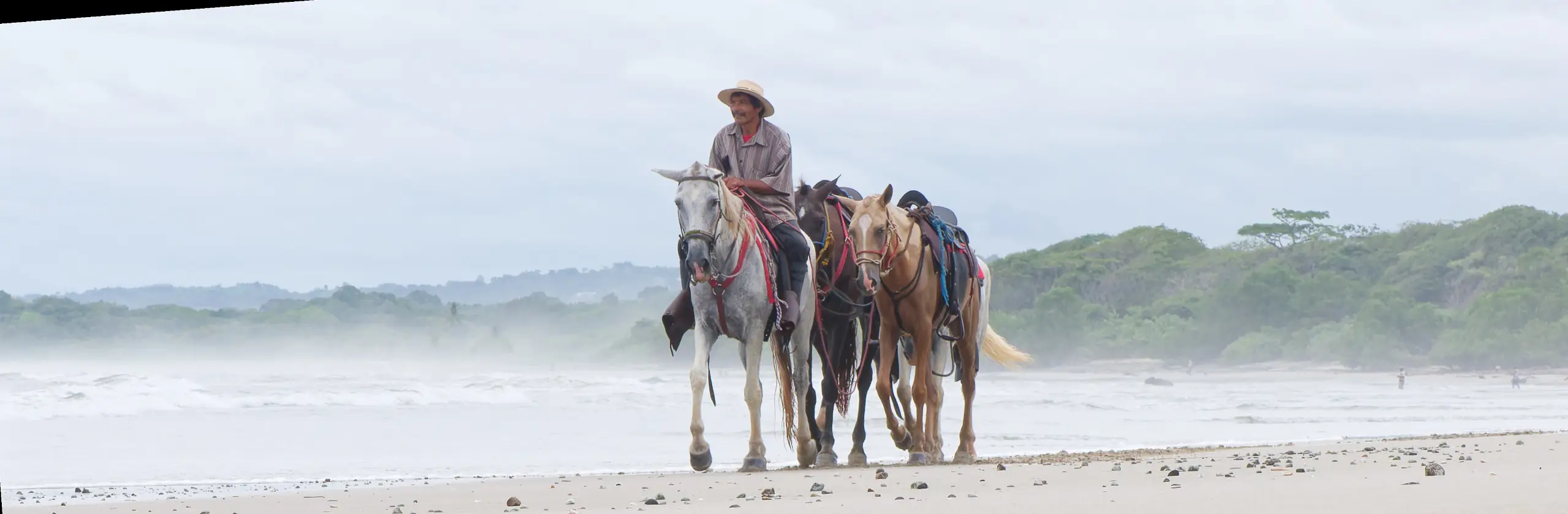 Péninsule de Nicoya : biodiversité des refuges, secrets de longévité et plages de rêve