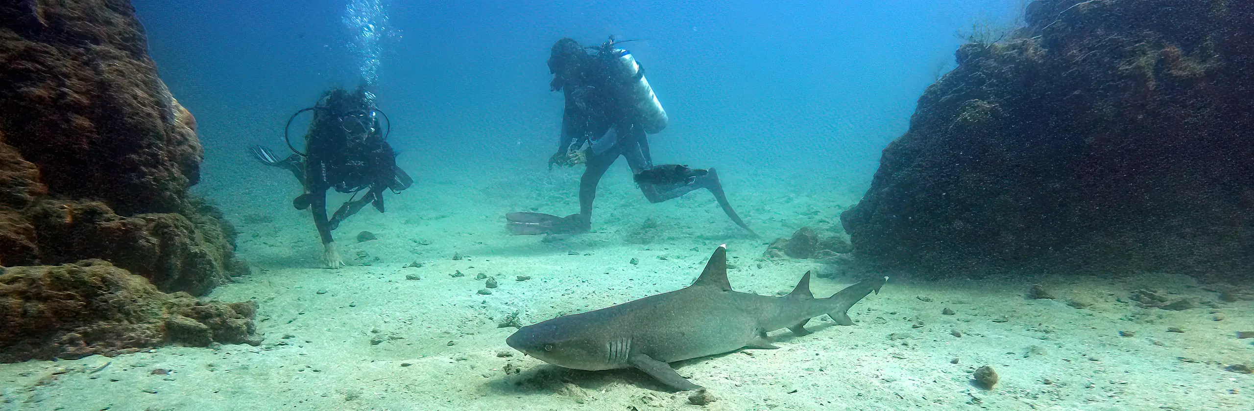 Je passe mon Open Water à Isla del Cano, au Costa Rica !