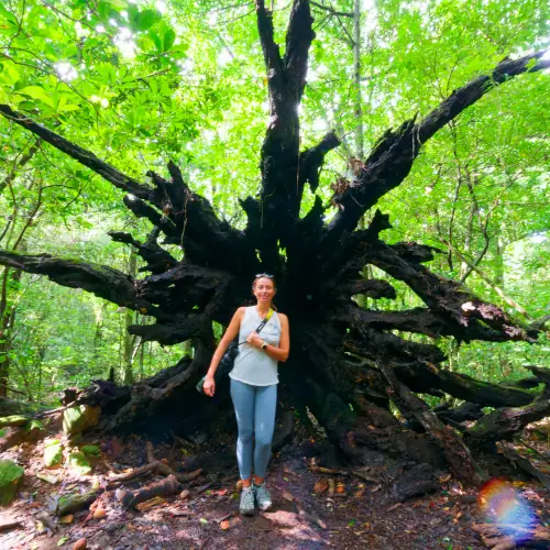 Pour vous donner une idée, je mesure 1m65...