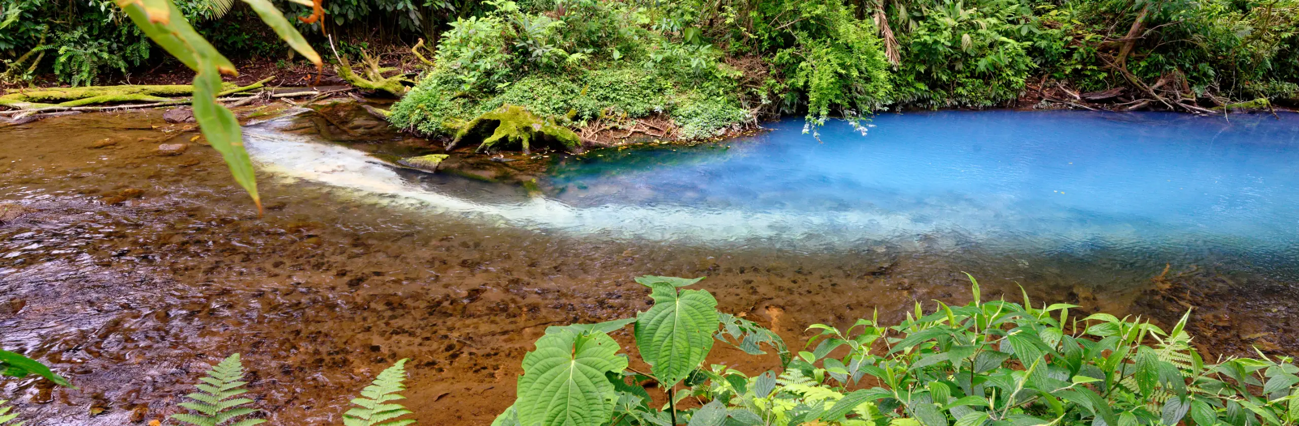 Río Celeste : découverte des eaux turquoises du parc Tenorio