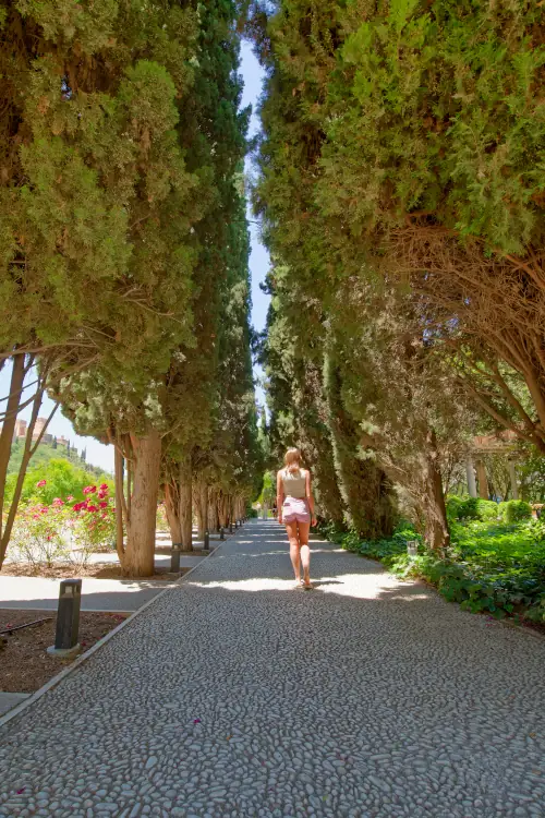 Allée romantique de cyprès dans le Palais des archives