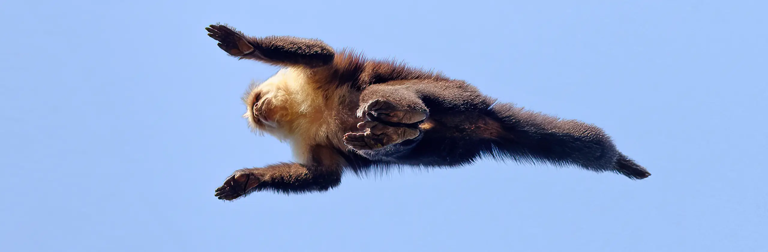 Réserve Biologique Lomas Barbudal : entre singes capucins et forêt tropicale sèche du Guanacaste