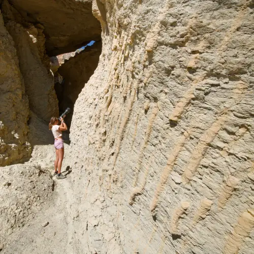 Sédiments bioturbés