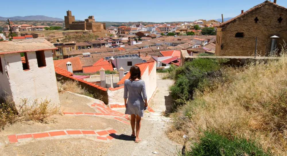 Vue sur l'Alcazaba depuis El Barrio de las Cuevas