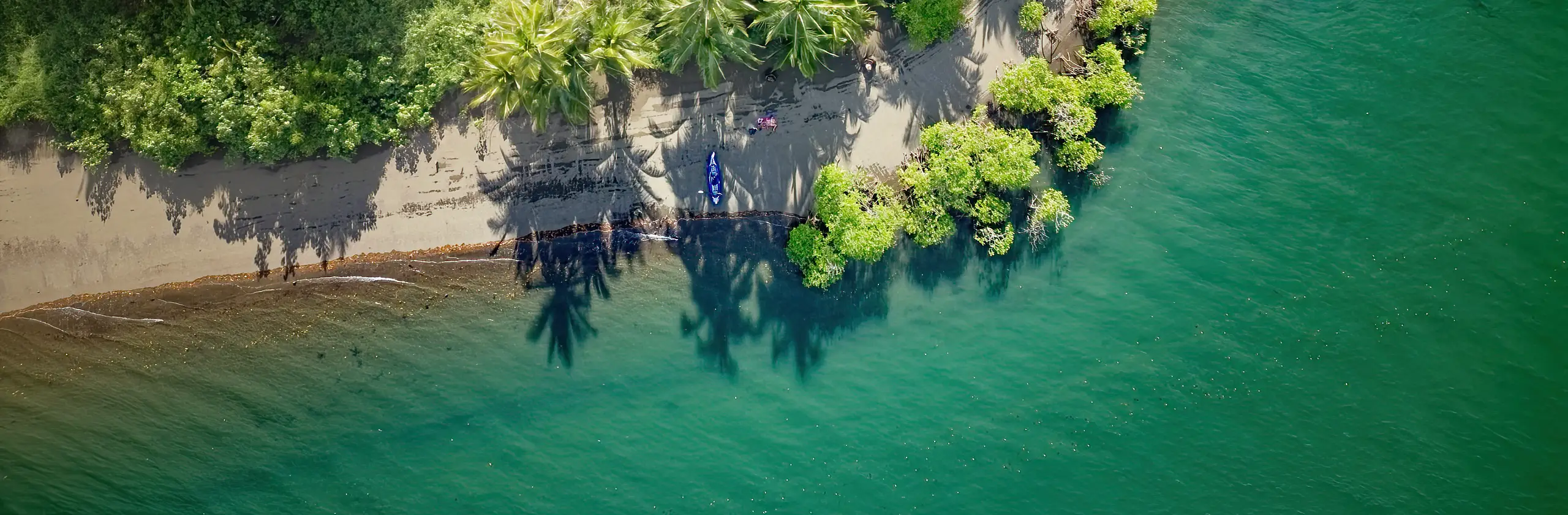 Rincon, le Golfo Dulce et ses dauphins