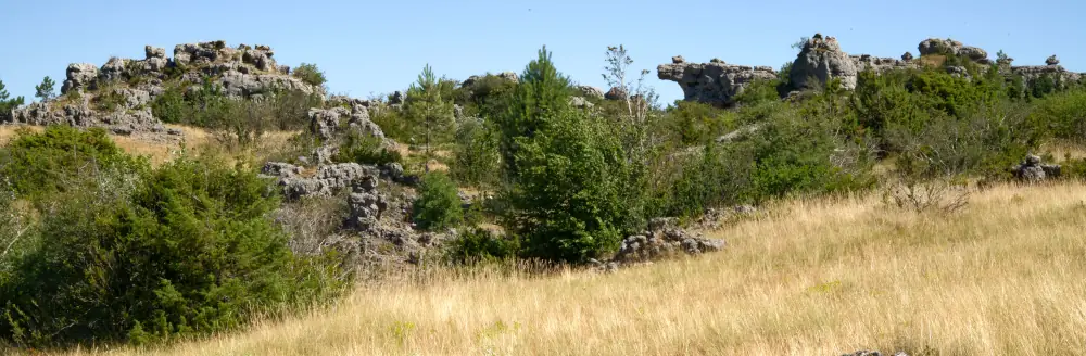 Eboulis au rocs blancs