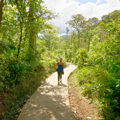 Sentier à l'entrée du parc