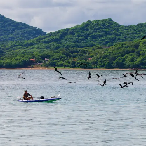 Hubert fait du canoë au milieu des Frégates qui pêchent