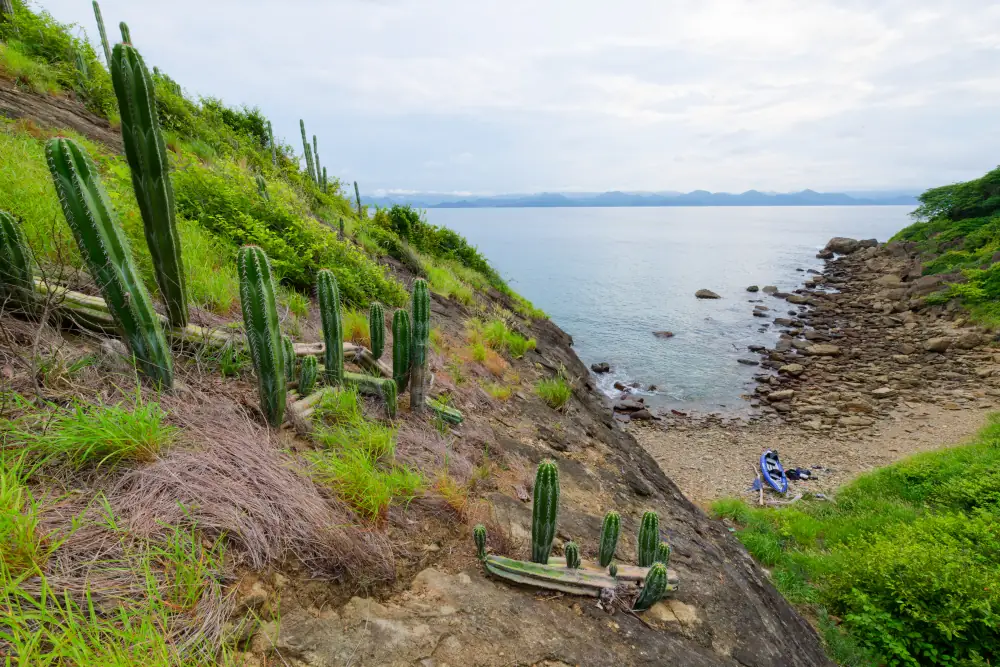 Crique isolée sur Isla Dispensa