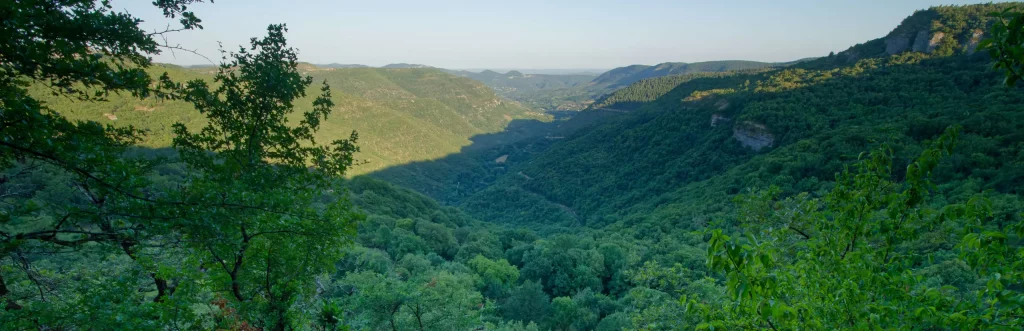 Panorama sur la vallée du Lodévois