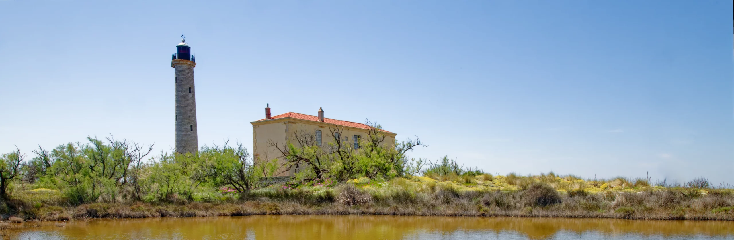 Balade jusqu’au phare de Beauduc : nature sauvage, phare et grand vent