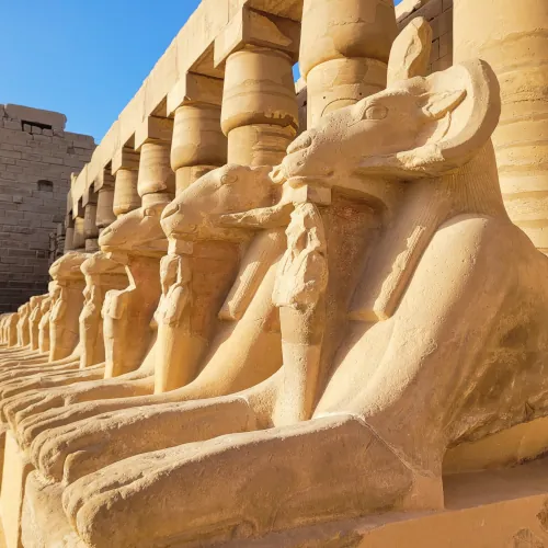 Sphynx à tête de bélier