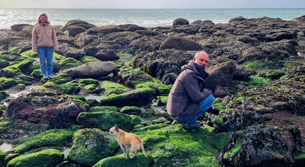 A la recherche des petites bêtes