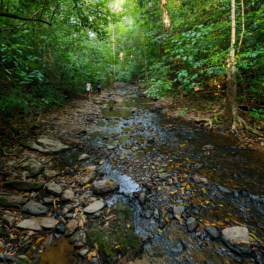 On remonte le ruisseau jusqu'à la cascade.