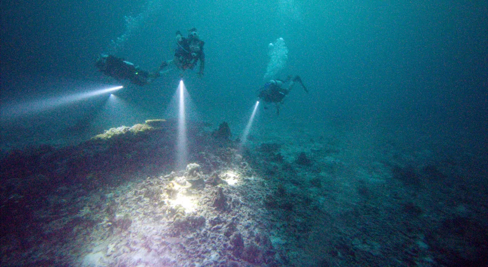 Plongée nocturne à Donald Duck Bay aux iles Similan
