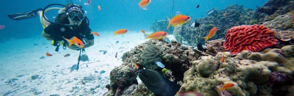 Plongée Honey Moon Bay Iles Similan