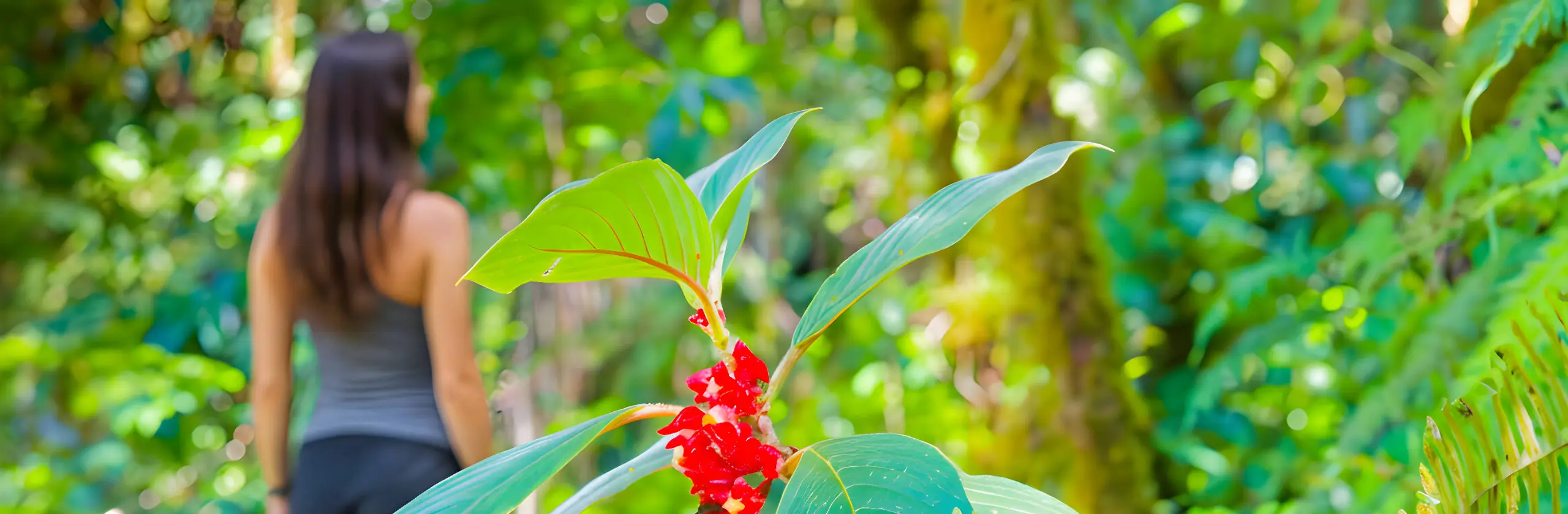 Traversée du pays d’ouest en est par la cordillère de Talamanca