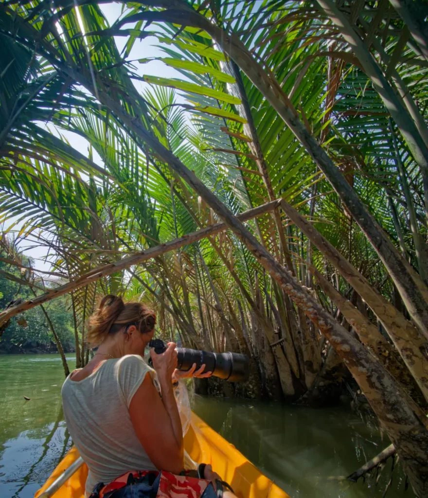 Photos dans la mangrove