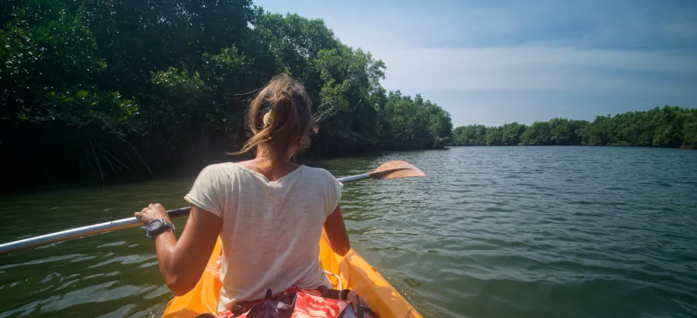 Canoë dans la mangrove de Ranong