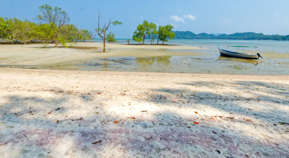 Plage mangrove Koh Phayam
