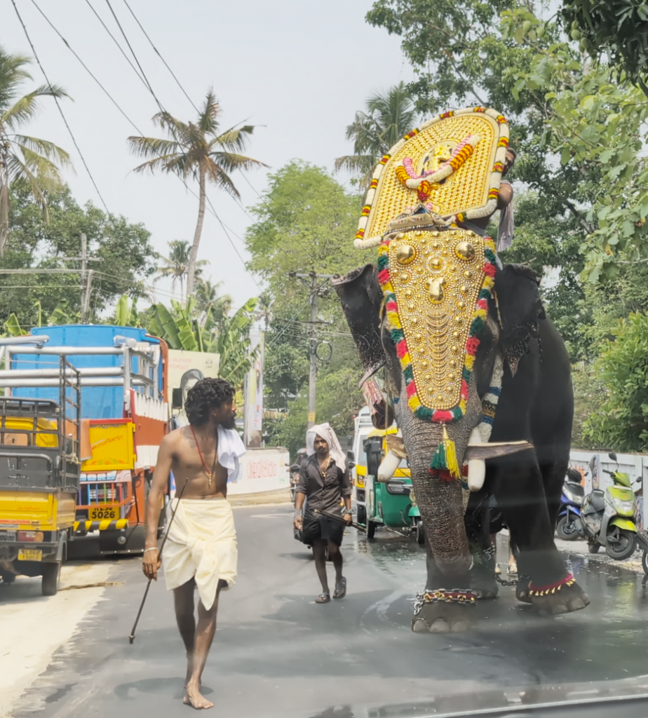 Procession religieuse avec les éléphants