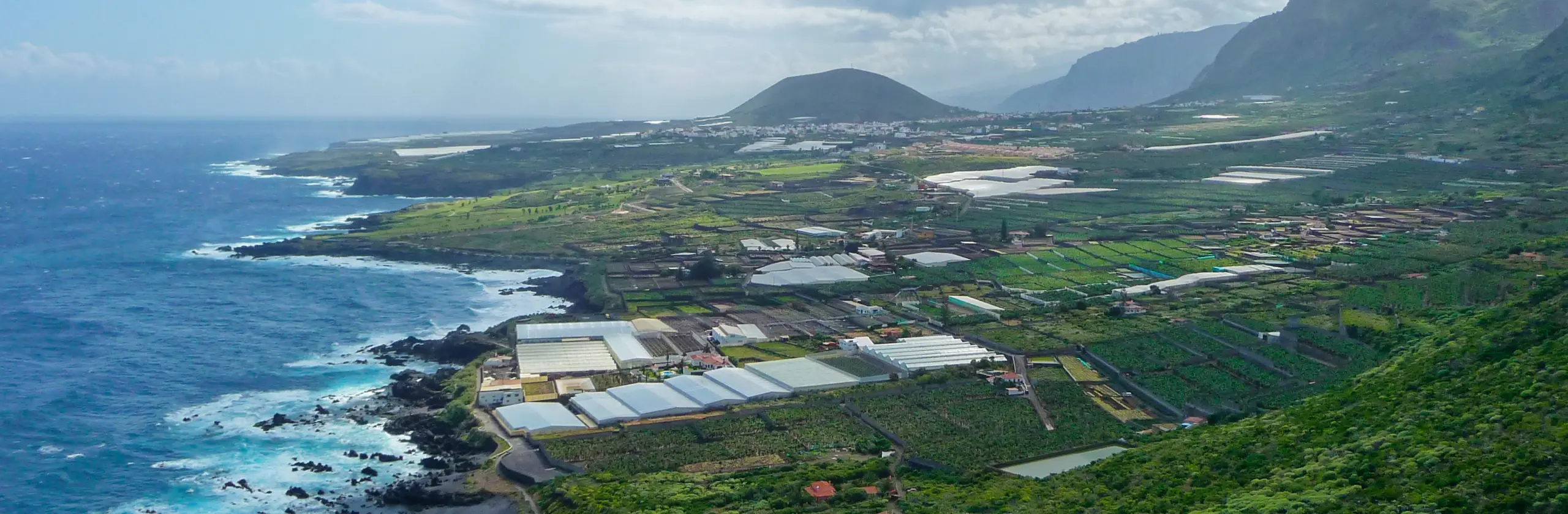 Tenerife Nord : de la forêt d’Anaga, en passant par Puerto de la Cruz jusqu&rsquo;à Masca