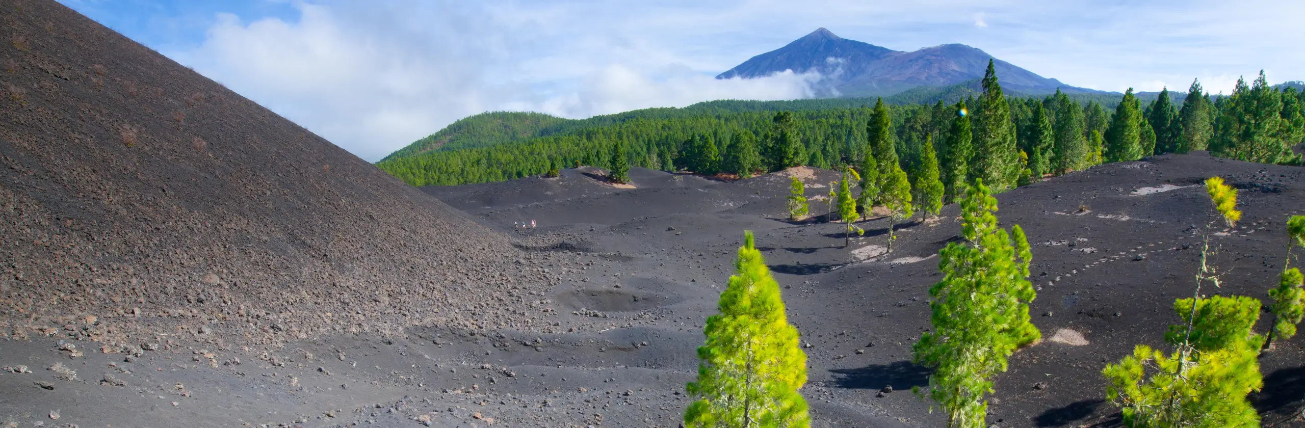 Randonnée sur la Montagne noir et le volcan Chinyero à Tenerife