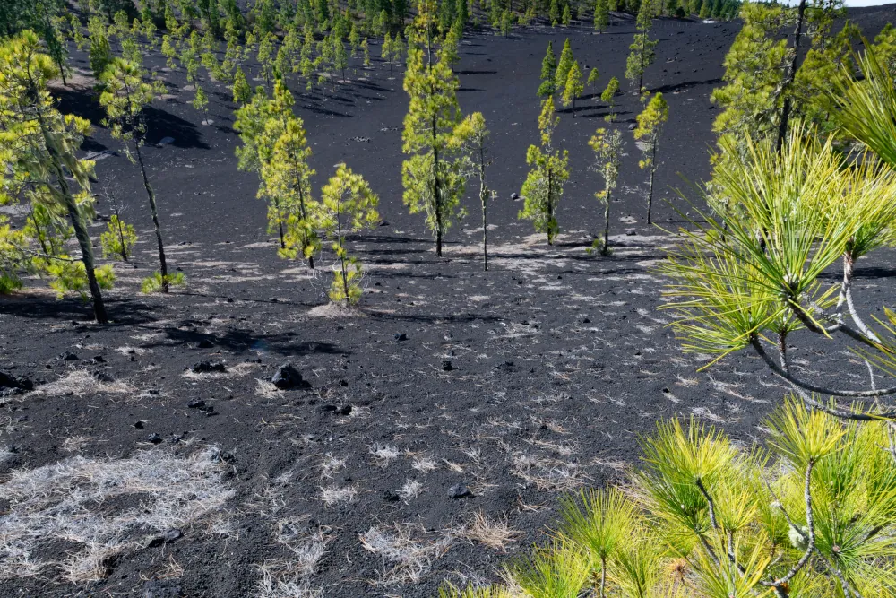 Voyage à Tenerife : météo, incontournables et itinéraire d’une semaine