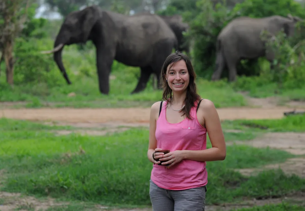 Mikumi national park guest house cam