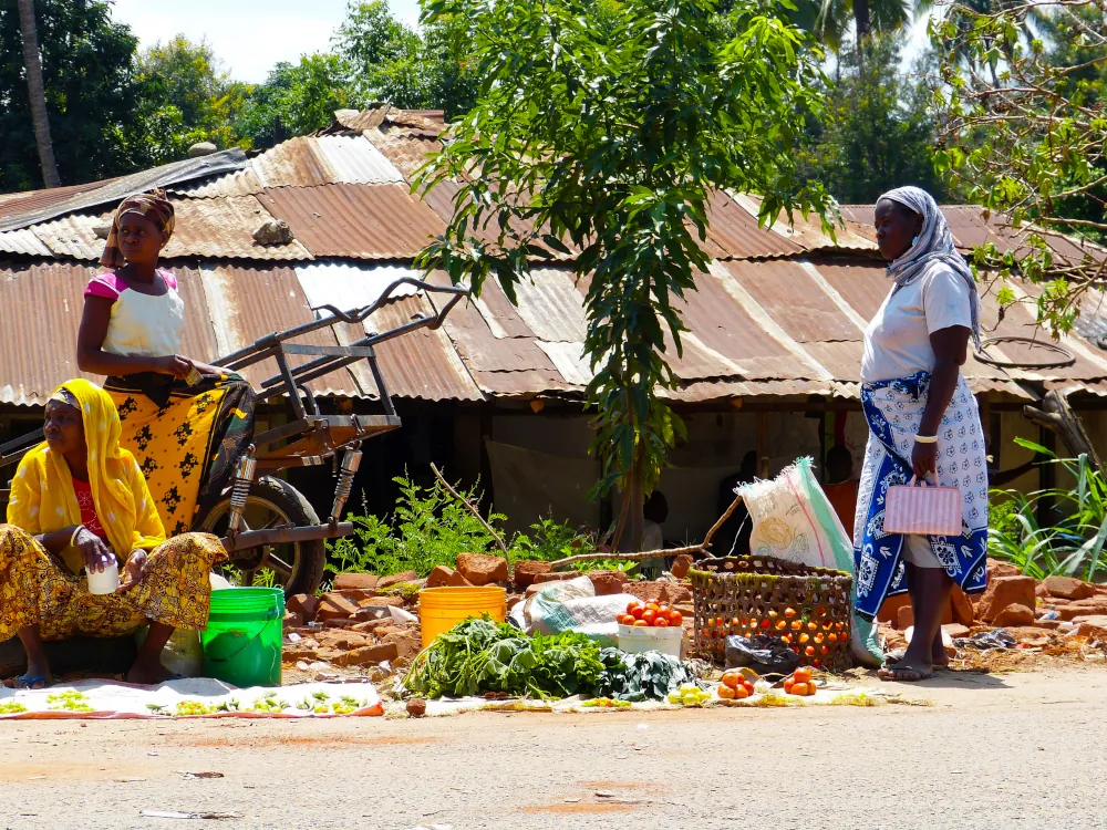 udzungwa femme village sanje