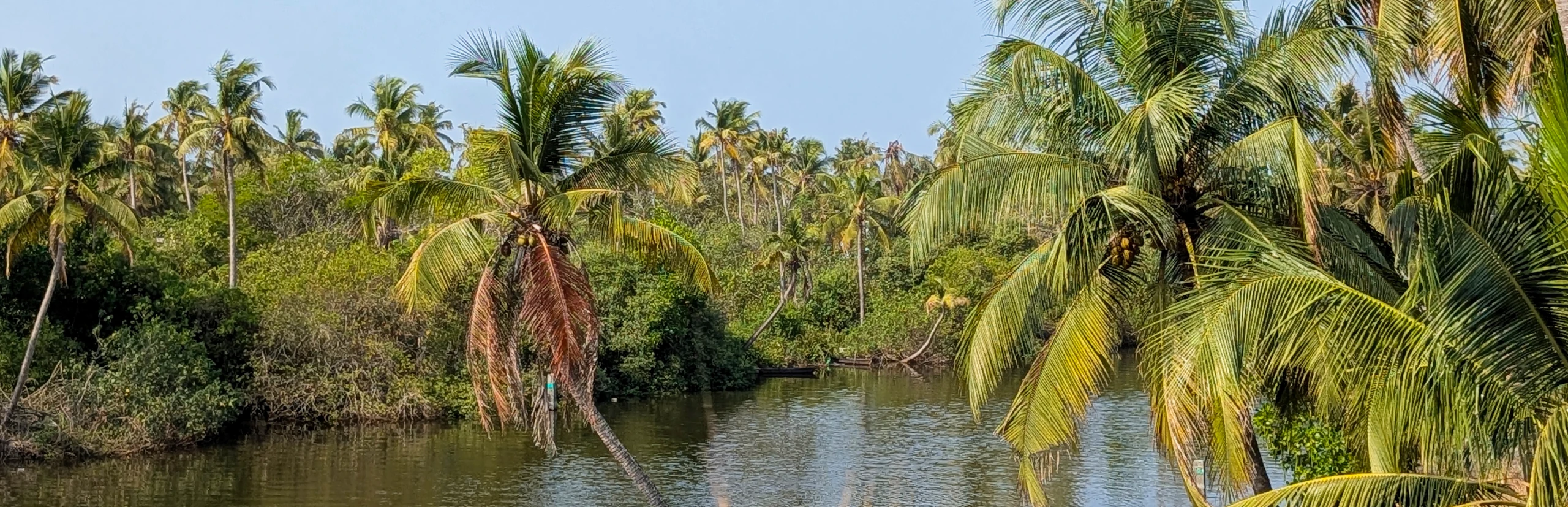Kochi et la côte de la Mer d&rsquo;Arabie