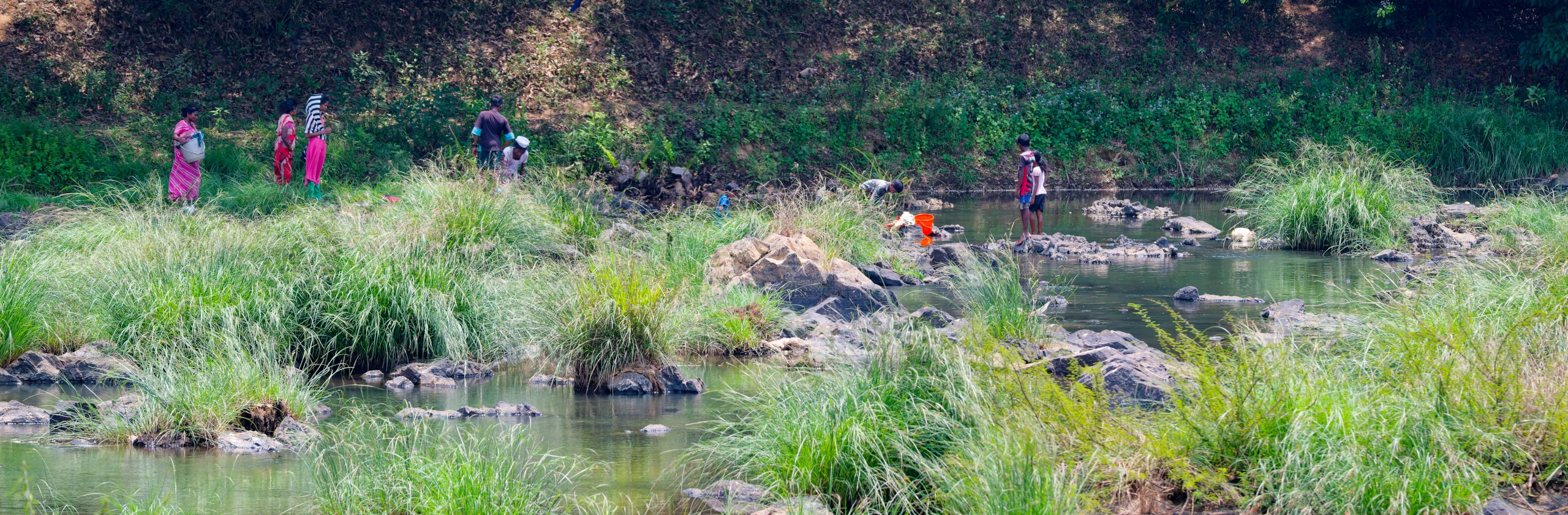 Rivière Kabini : entre forêts tropicales, crocodiles et grandes plaines sauvages du Wayanad