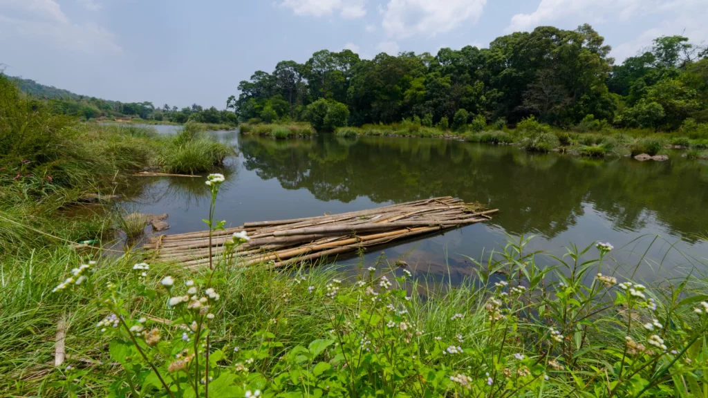 Radeau sur la rivière Kabini