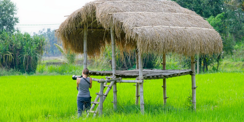 Cabane dans les rizières