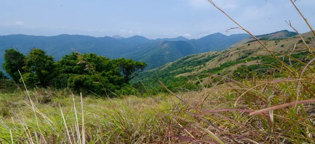 Réserve de Vie sauvage de Brahmagiri