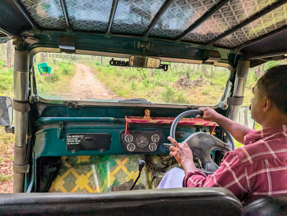 Conducteur pressé de la jeep dans la Réserve